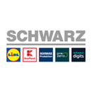 Logo Schwarz Digits in Neckarsulm